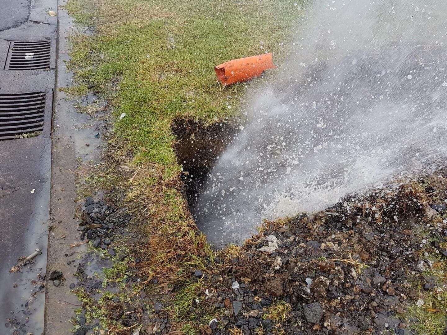 Plumber or Leak Detection Specialist? Who to Call for Which Leak in NZ