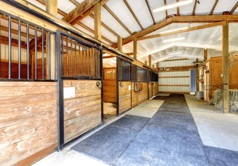 Installing Power to a Shed or Sleepout in Rural Auckland and Waikato: Cost, Cable, Consents and Process