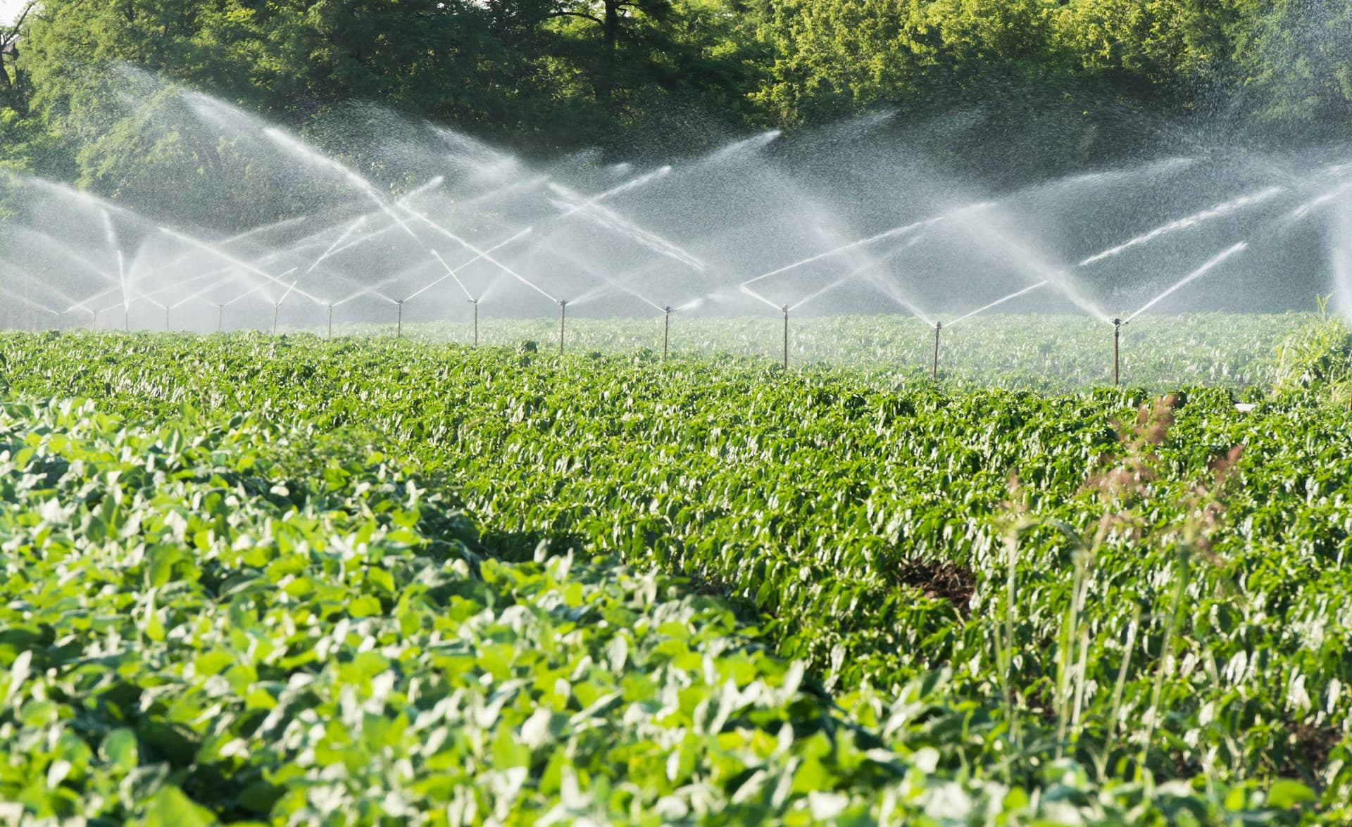 Detecting Water Leaks for Farming Success in South Auckland